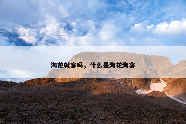 淘花就客吗，什么是淘花淘客