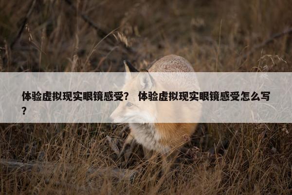 体验虚拟现实眼镜感受？ 体验虚拟现实眼镜感受怎么写？