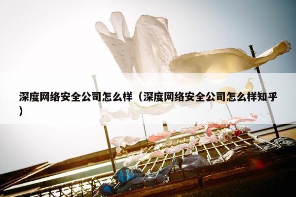 深度网络安全公司怎么样（深度网络安全公司怎么样知乎）