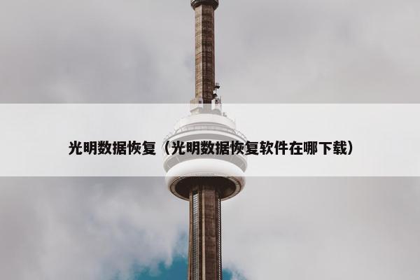 光明数据恢复（光明数据恢复软件在哪下载）