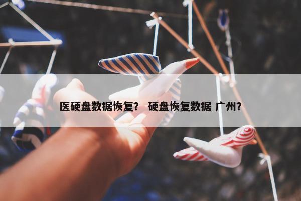 医硬盘数据恢复？ 硬盘恢复数据 广州？