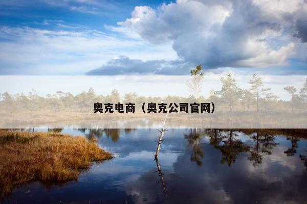 奥克电商（奥克公司官网）