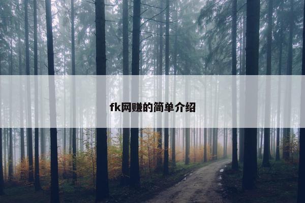 fk网赚的简单介绍