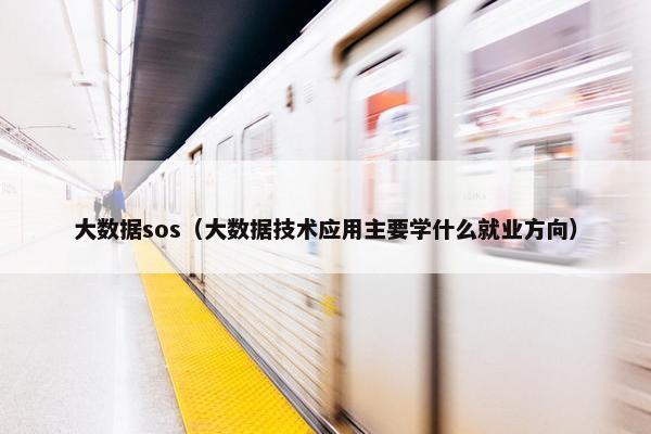 大数据sos（大数据技术应用主要学什么就业方向）