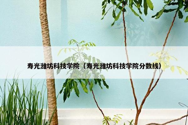 寿光潍坊科技学院（寿光潍坊科技学院分数线）