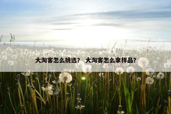 大淘客怎么挑选？ 大淘客怎么拿样品？