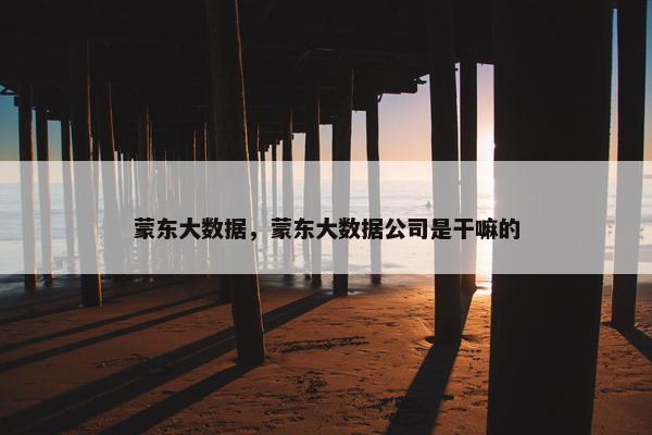 蒙东大数据，蒙东大数据公司是干嘛的