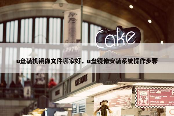 u盘装机镜像文件哪家好，u盘镜像安装系统操作步骤