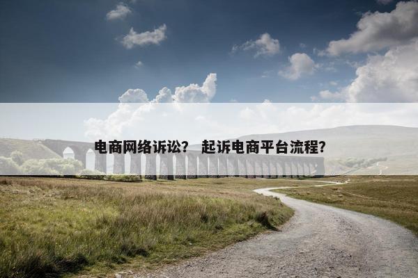 电商网络诉讼？ 起诉电商平台流程？