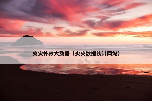 火灾扑救大数据（火灾数据统计网站）