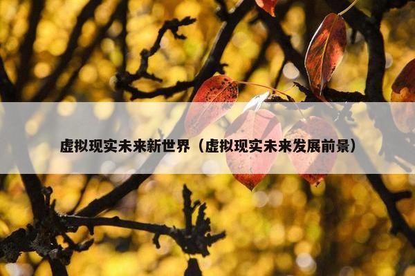 虚拟现实未来新世界（虚拟现实未来发展前景）