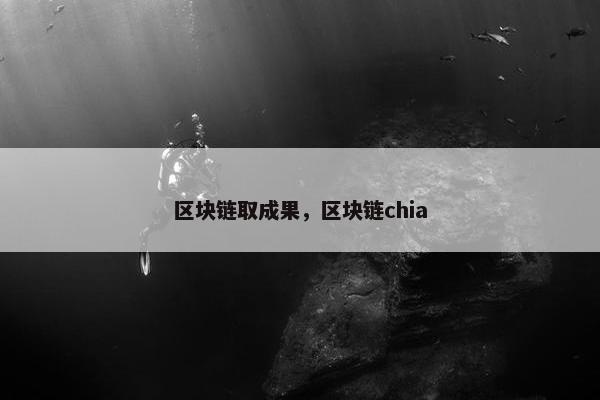 区块链取成果，区块链chia