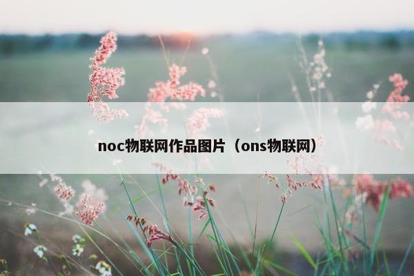 noc物联网作品图片（ons物联网）