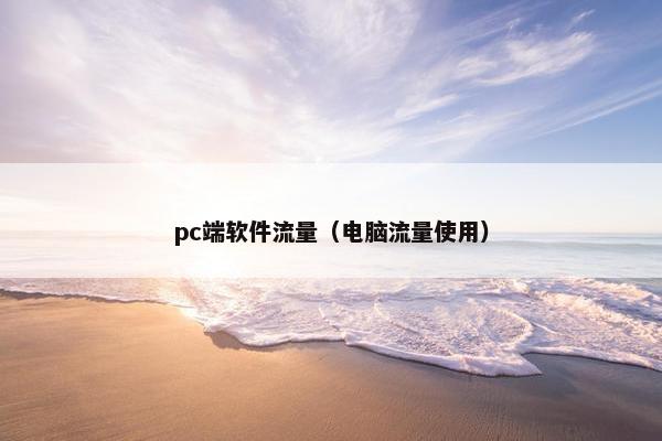 pc端软件流量（电脑流量使用）