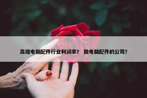 高端电脑配件行业利润率？ 做电脑配件的公司？