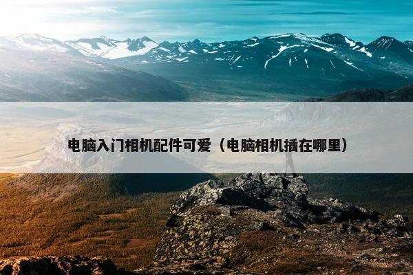 电脑入门相机配件可爱（电脑相机插在哪里）
