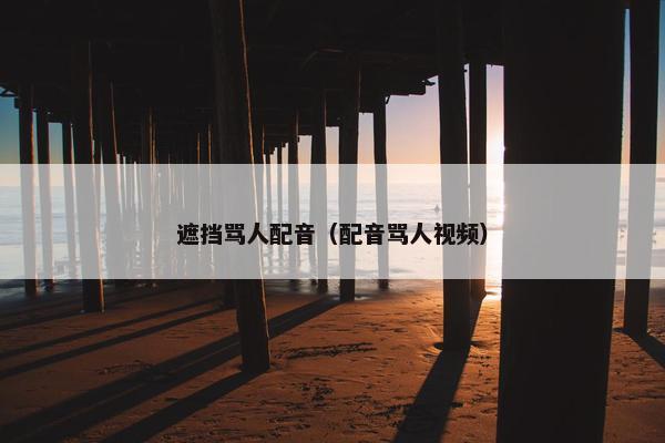 遮挡骂人配音（配音骂人视频）