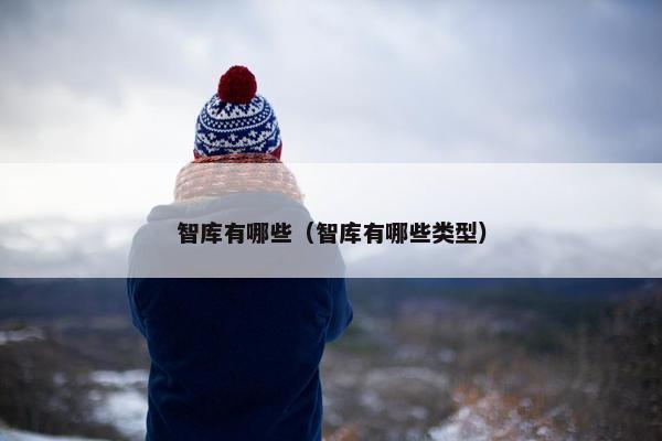 智库有哪些（智库有哪些类型）