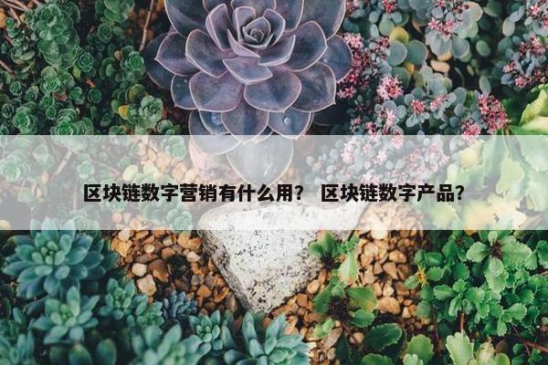 区块链数字营销有什么用？ 区块链数字产品？