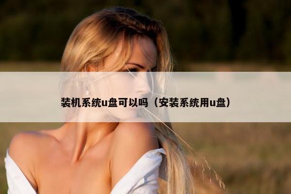 装机系统u盘可以吗（安装系统用u盘）