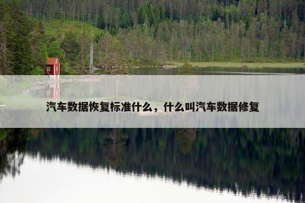 汽车数据恢复标准什么，什么叫汽车数据修复