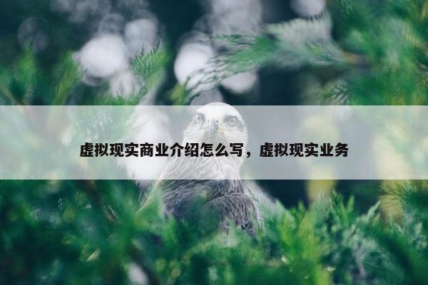 虚拟现实商业介绍怎么写，虚拟现实业务