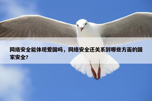 网络安全能体现爱国吗，网络安全还关系到哪些方面的国家安全?