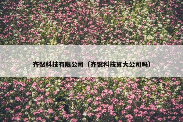 齐聚科技有限公司（齐聚科技算大公司吗）