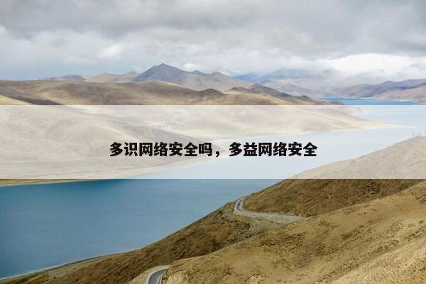 多识网络安全吗，多益网络安全