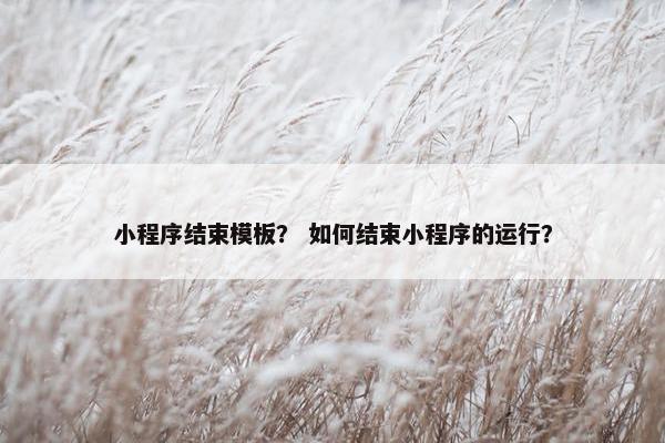 小程序结束模板？ 如何结束小程序的运行？