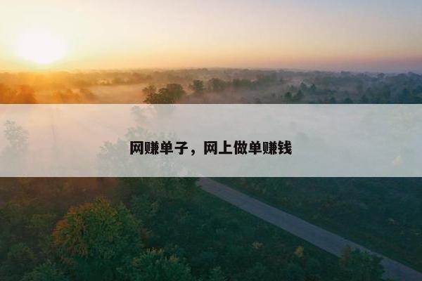 网赚单子，网上做单赚钱