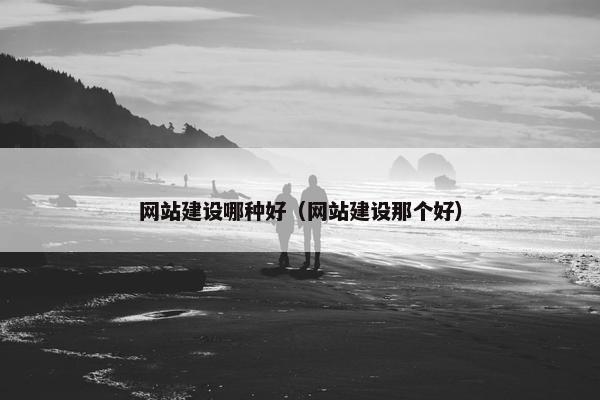 网站建设哪种好（网站建设那个好）