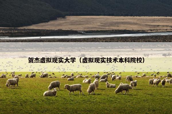 贺杰虚拟现实大学（虚拟现实技术本科院校）