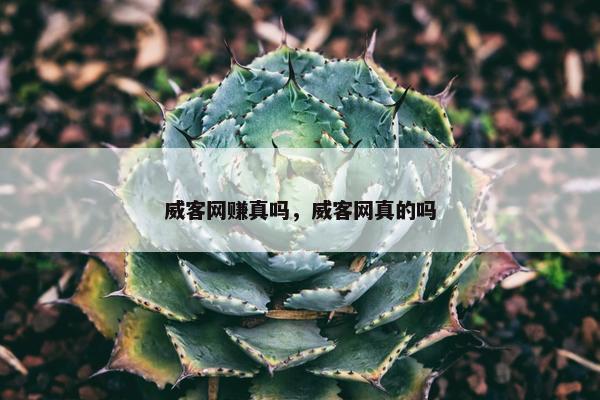 威客网赚真吗，威客网真的吗