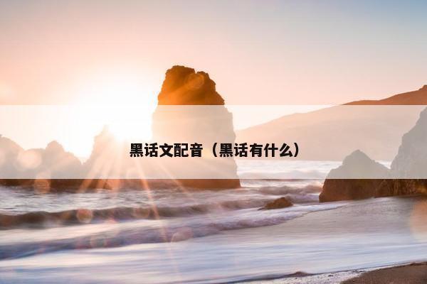 黑话文配音（黑话有什么）