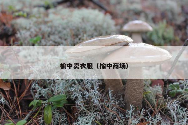 榆中卖衣服（榆中商场）
