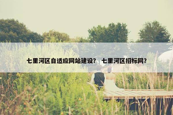 七里河区自适应网站建设？ 七里河区招标网？