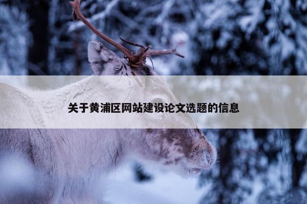 关于黄浦区网站建设论文选题的信息