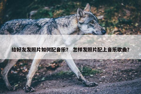给好友发照片如何配音乐？ 怎样发照片配上音乐歌曲？