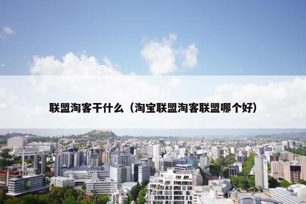 联盟淘客干什么（淘宝联盟淘客联盟哪个好）