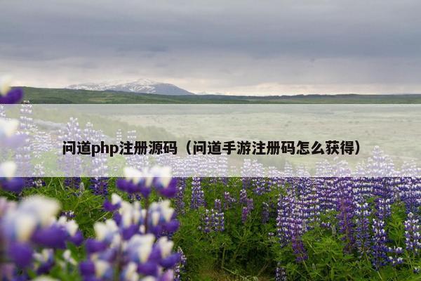 问道php注册源码（问道手游注册码怎么获得）