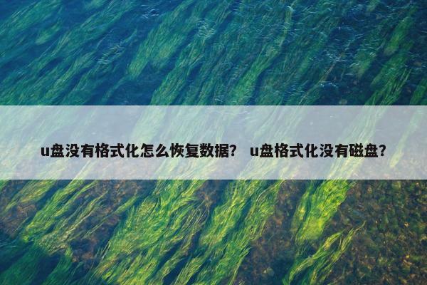 u盘没有格式化怎么恢复数据？ u盘格式化没有磁盘？