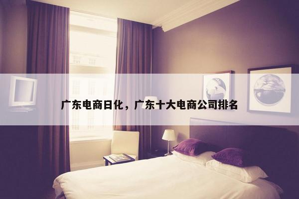 广东电商日化，广东十大电商公司排名