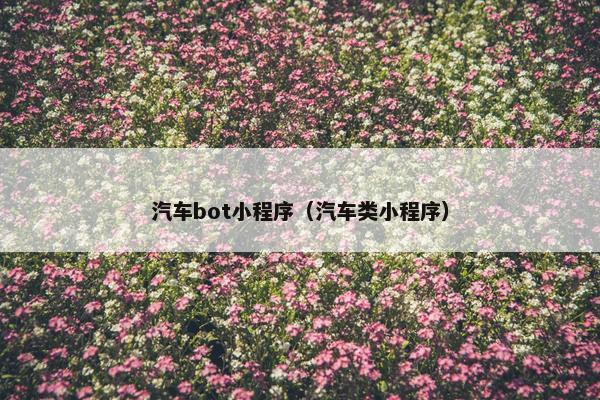 汽车bot小程序（汽车类小程序）