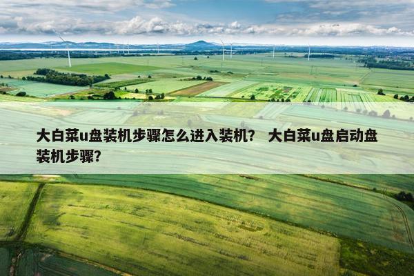 大白菜u盘装机步骤怎么进入装机？ 大白菜u盘启动盘装机步骤？