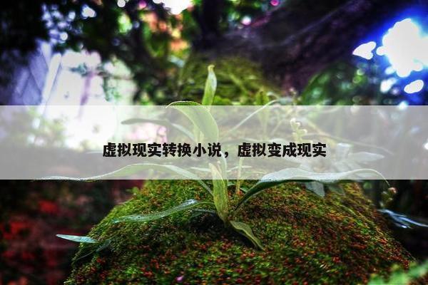 虚拟现实转换小说，虚拟变成现实