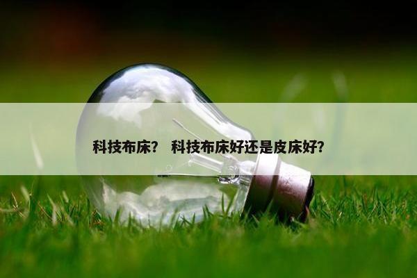 科技布床？ 科技布床好还是皮床好？