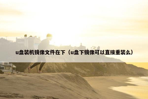 u盘装机镜像文件在下（u盘下镜像可以直接重装么）