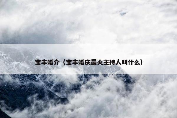 宝丰婚介（宝丰婚庆最火主持人叫什么）