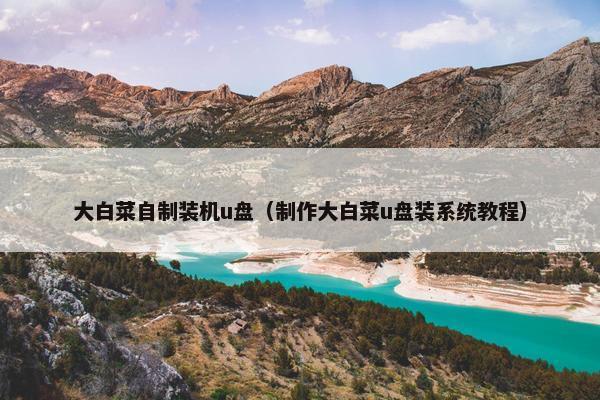 大白菜自制装机u盘（制作大白菜u盘装系统教程）